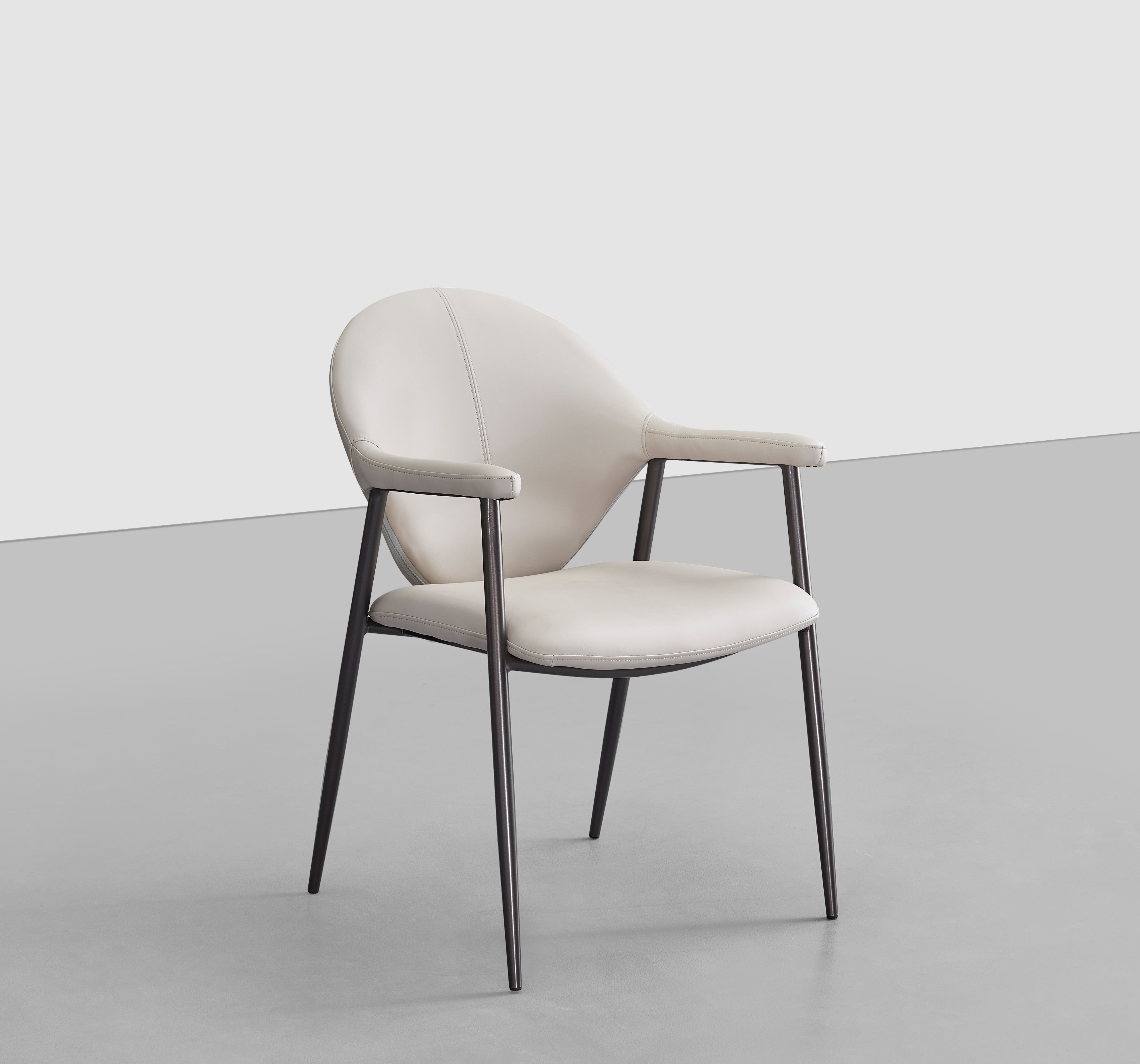 Comfort Modern Dining Chair