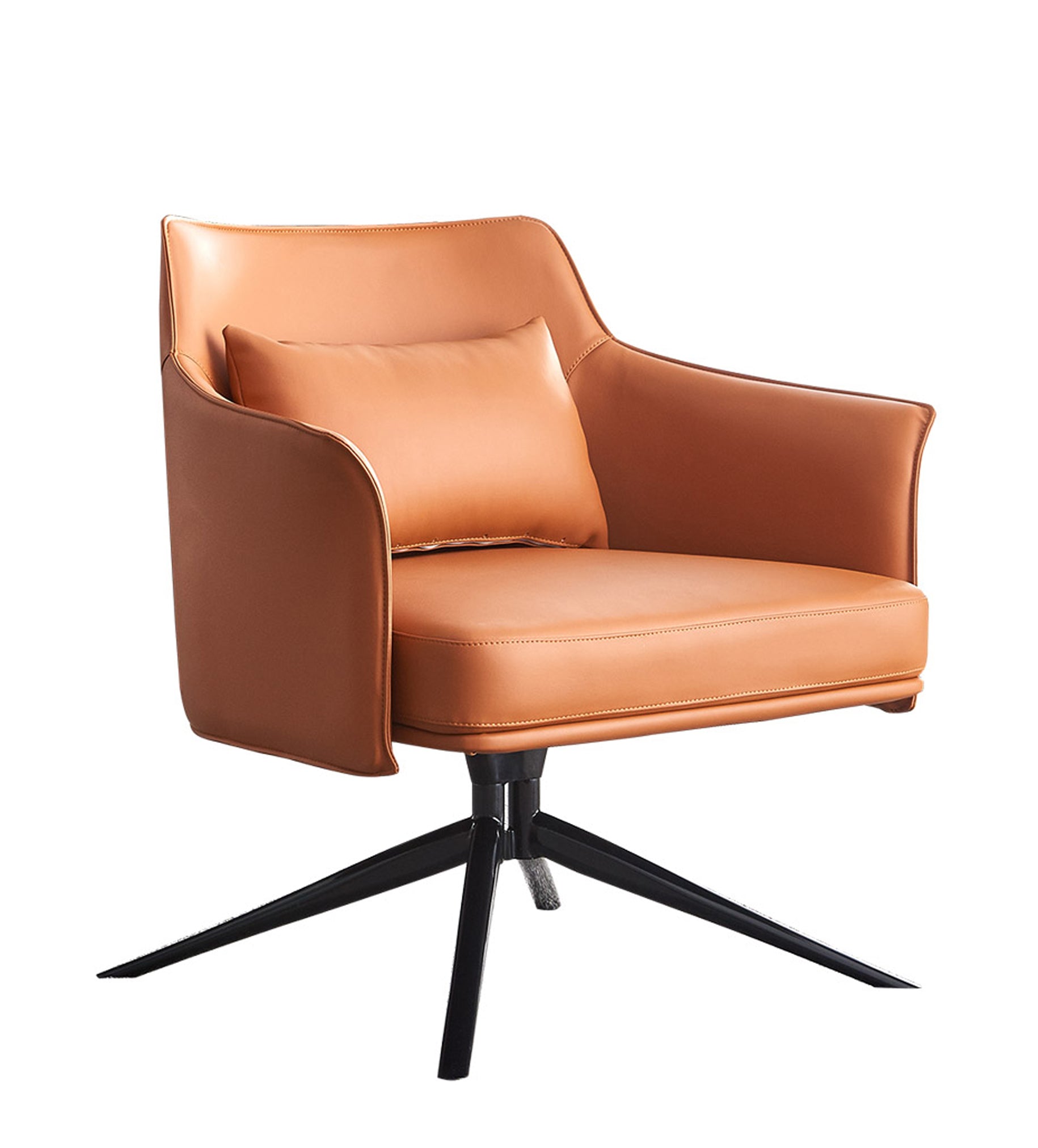 Contemporary Leisure Chair