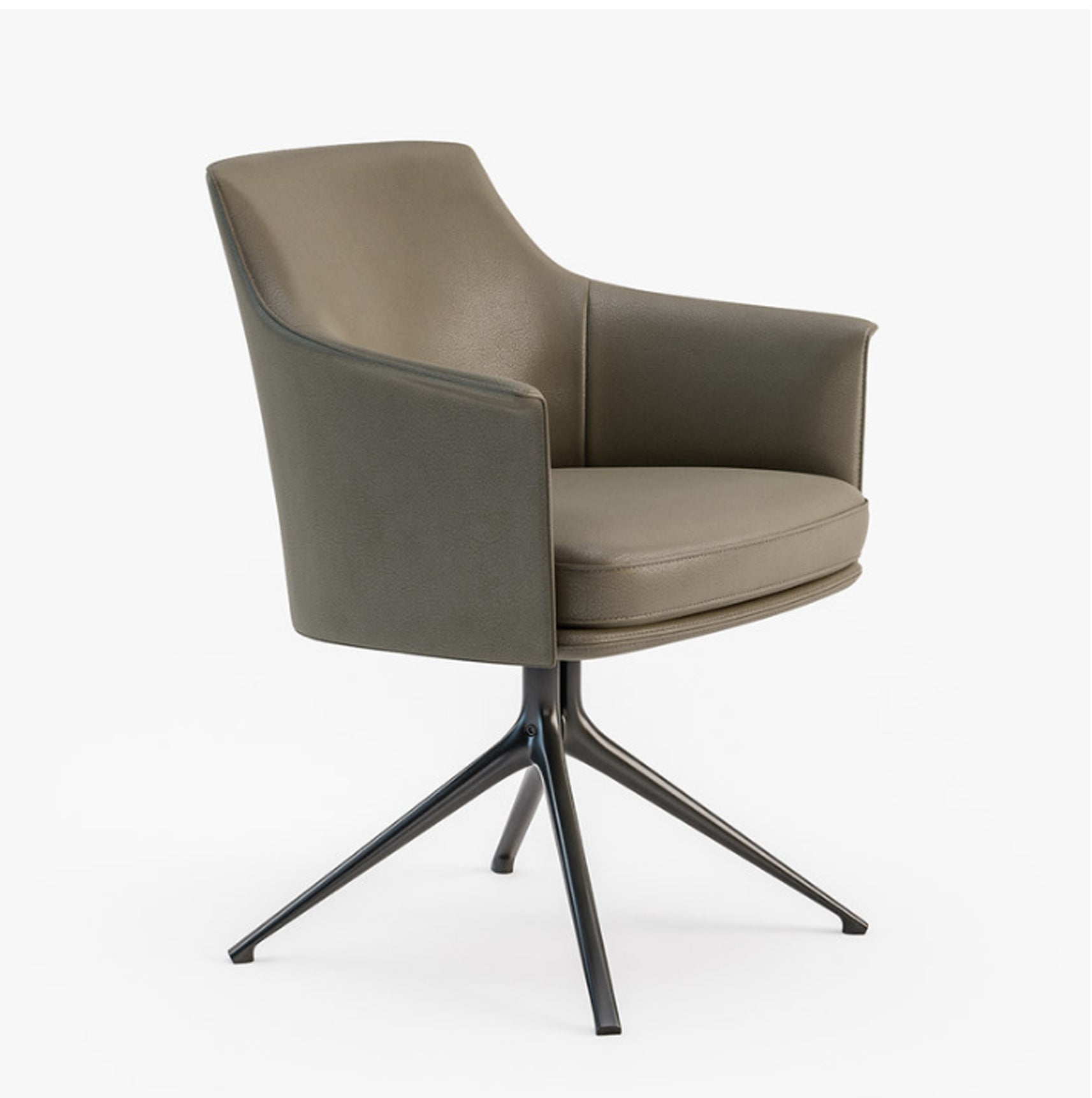 Exquisite Lounge Chair