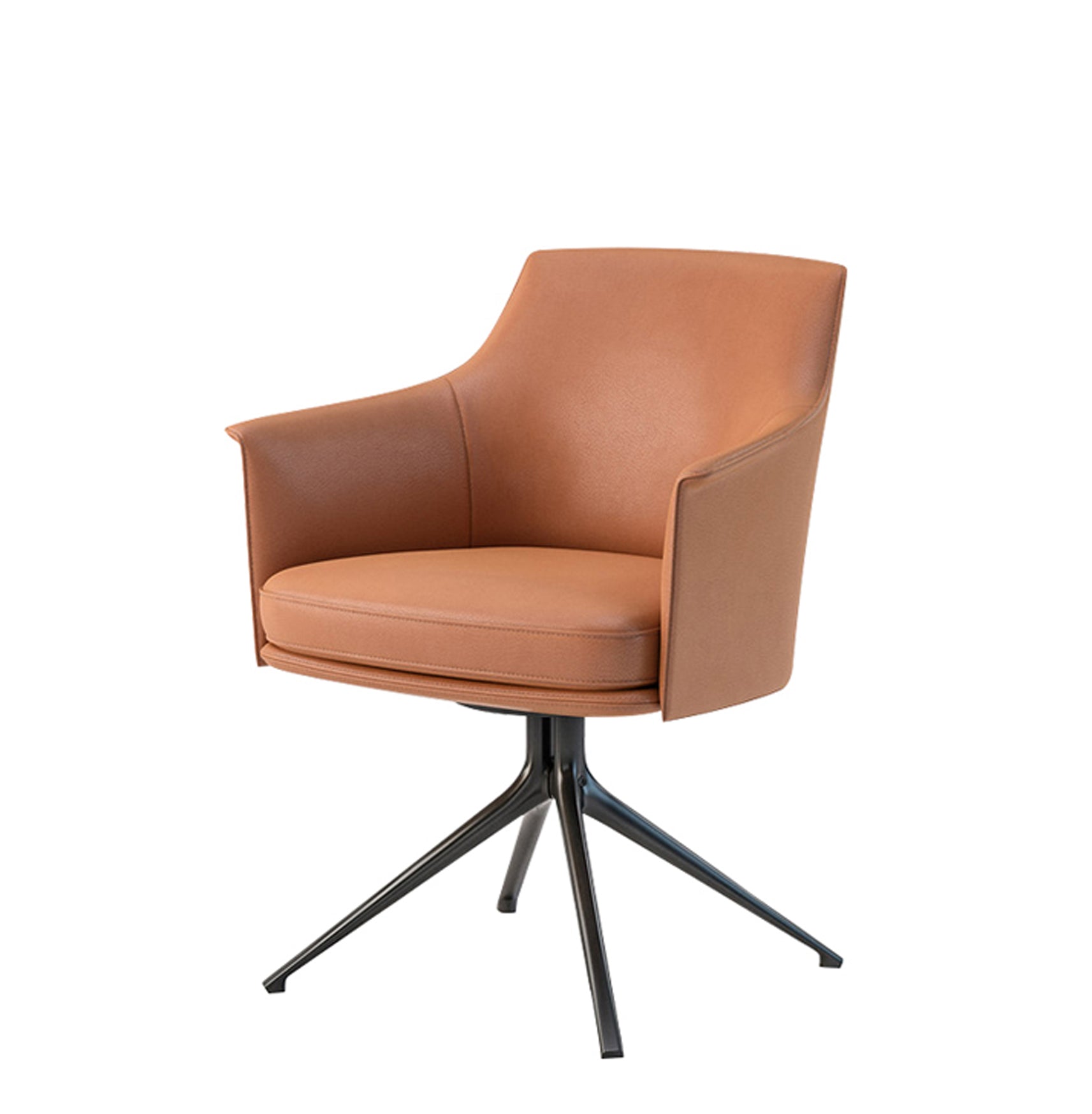 Exquisite Lounge Chair