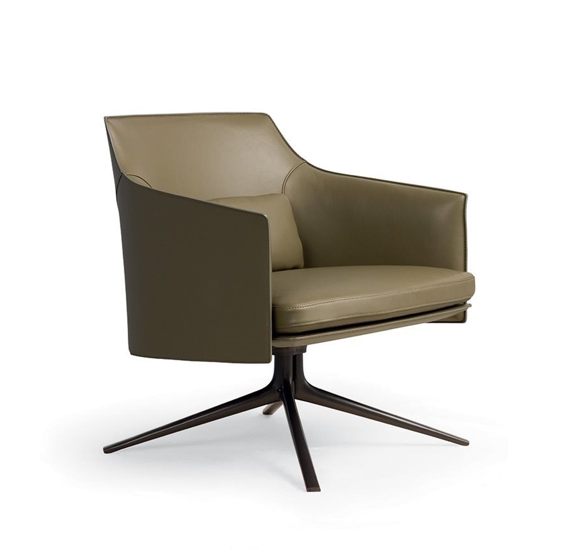 Contemporary Leisure Chair