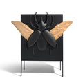 Coleoptera Art Cabinet